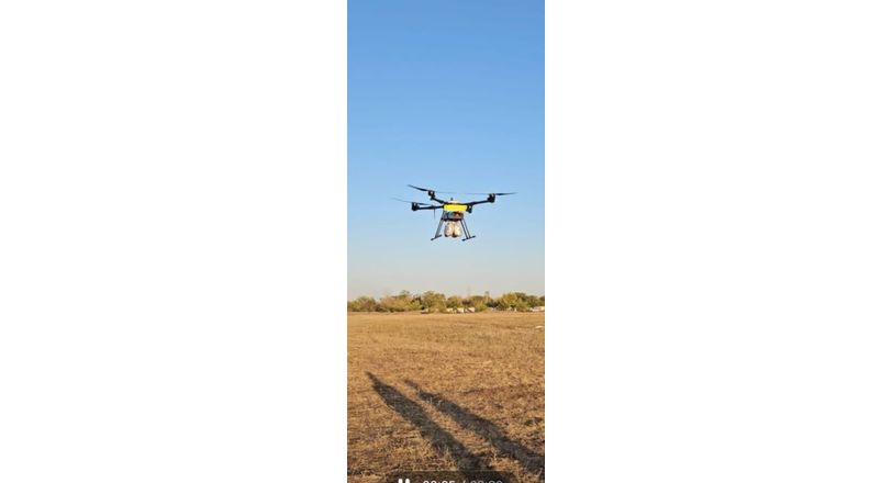 48ca41ad-08fd-4513-85f9-796607ccdd96_812x440